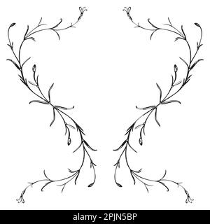 Botanical hand drawn plant, bouquet isolated on background. Spring plant flower vintage frame. Creative doodle linear style. Graphic design wedding in Stock Vector