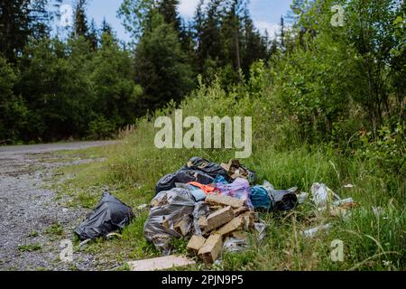 Illegal dumping of waste in forest, trashes in black plastic bags. Stock Photo