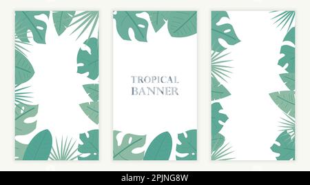 Tropical banner with palm, monstera, banana leaves. Glass morphism style banner. Applicable for social media stories. Tropical leaf element. Exotic or Stock Vector