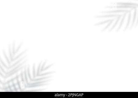 Palm leaf shadow overlay. Tropical blurred leaf. Light overlay transparent effect. Vector illustration Stock Vector
