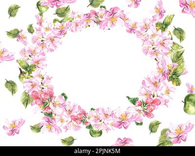 Oval composition of a blossoming apple tree on a white background. watercolor illustration Stock Photo