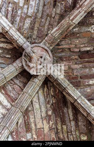 Dryburgh Abbey details. Stock Photo