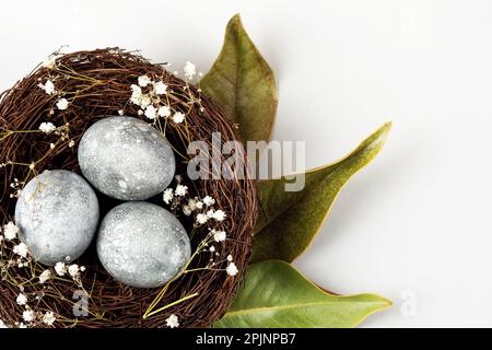 Brown nest of twigs with three gray Easter eggs, feathers, dried magnolia leaves and sprigs of gypsophila on gray background. Minimalistic Easter conc Stock Photo