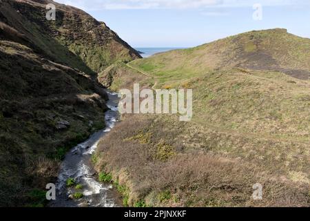 Devon-Cornwall border Marsland Mouth on the South West Coast Path Stock Photo