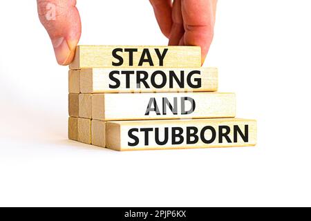 Stay strong and stubborn symbol. Concept words Stay strong and stubborn on wooden block. Beautiful white table white background. Motivational business Stock Photo