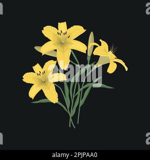 Yellow lilies with buds and green leaves on black background. Summer flowers. Vector illustration Stock Vector