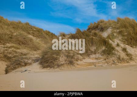 Eoropie, Isle of Lewis, Scotland. 3rd April 2023. UK Weather: Bright blue skies over the sand dunes of Eoropie Beach on the Isle of Lewis. Credit: Bradley Taylor / Alamy Live News Stock Photo