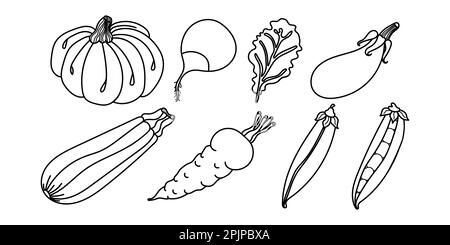 Hand drawn vegetables. Set of icons, hand drawn vegetables. Pumpkin, carrot, pea pod, zucchini squash, leaf, eggplant, radish. For coloring page in ch Stock Vector