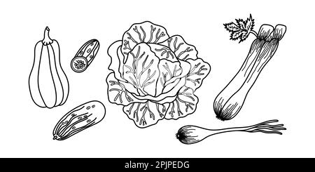 Hand drawn vegetables in black outline. Ideal for coloring pages in children's books. Rustic and simple style of the vegetables. Set of vector icons. Stock Vector