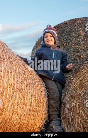 A smiling cute boy with a knitted hat stands on a golden straw stack in the evening sunlight. Stock Photo