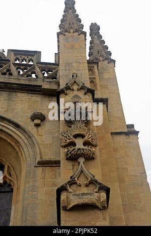 Olive tree sculpture for Bishop Oliver King, Bath Abbey, Somerset scenes. March 2023. Spring. cym Stock Photo