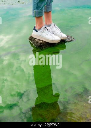 A person stands on a stone in water with blue and green algae blooming. Water pollution and ecology problems concept. Stock Photo