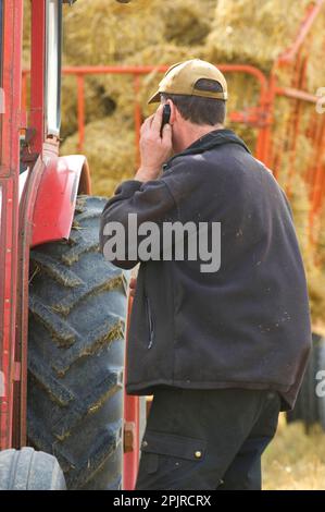 Farmer talking on mobile phone, standing next to tractor and trailer with straw bales, Sweden Stock Photo
