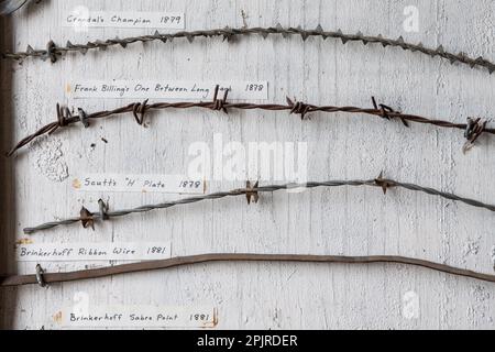 A mounted display of different antique barbed wire fencing varieties that were used in the American West and California in the 1800s. Stock Photo