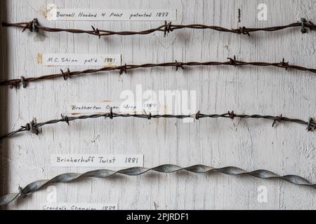 A mounted display of different antique barbed wire fencing varieties that were used in the American West and California in the 1800s. Stock Photo