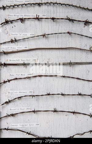 A mounted display of different antique barbed wire fencing varieties that were used in the American West and California in the 1800s. Stock Photo