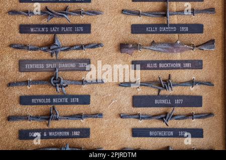 A mounted display of different antique barbed wire fencing varieties that were used in the American West and California in the 1800s. Stock Photo