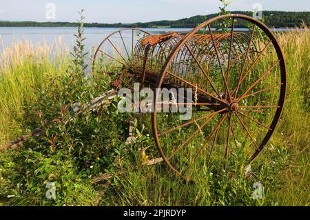 Rusty old-fashioned horse-drawn hay rake, at the water's edge, Sweden Stock Photo
