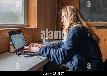 A blonde female graduate student sits at a desk in front of a window and works on her laptop. Stock Photo