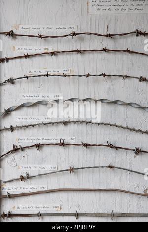 A mounted display of different antique barbed wire fencing varieties that were used in the American West and California in the 1800s. Stock Photo