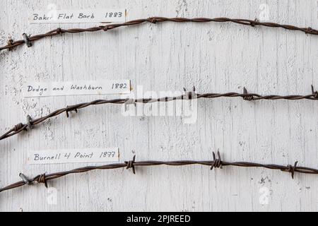 A mounted display of different antique barbed wire fencing varieties that were used in the American West and California in the 1800s. Stock Photo