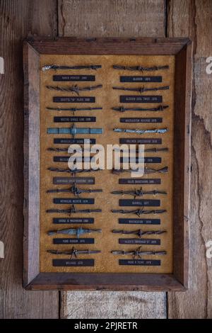A mounted display of different antique barbed wire fencing varieties that were used in the American West and California in the 1800s. Stock Photo