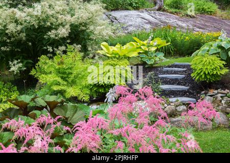 Astilbe thunbergii - Ostrich Plume, Adiantum pedatum - American Maidenhair Fern, Persicaria polymorpha - Fleeceflower, Hostas, yellow Irises in border Stock Photo