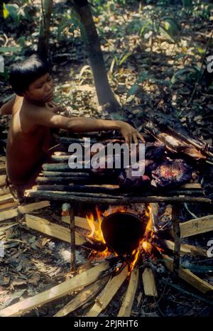 South America, Venezuela, southern Bolivar State. Eñepa (Panare) Indian tribe: woman smoking meat on babracot Stock Photo