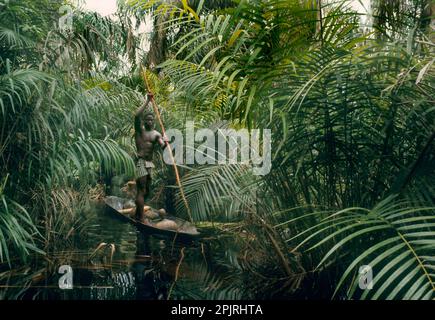 Africa, Libinza ethnic group, Ngiri River islands, Democratic Republic of the Congo. Man propelling canoe with pole in raphia palm swamp forest. Stock Photo