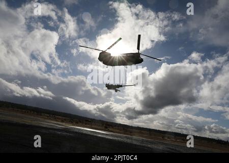 A CH-47 Chinook Helicopter flies to the second firing position with an M777 155 mm howitzer on Joint Base Lewis McChord, Wash., April 1, 2023. (U.S. Army National Guard Photo by PFC. Elaina Nieves) Stock Photo