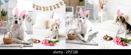Festive collage for Easter celebration with cute dogs in bunny ears at home Stock Photo