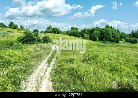 rural landscape with winding country road at bright sunny summer day. aerial drone view. Stock Photo
