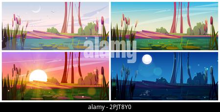 Swamp and cattail near lake, night, morning or sunset vector background. Pond with bulrush in park. Shining water surface in river fantasy cartoon illustration. Wild nature landscape with flying birds Stock Vector