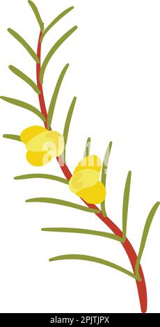 Flowering branch icon isometric vector. Branch shrub or tree with yellow flower. Environment, nature, botany Stock Vector