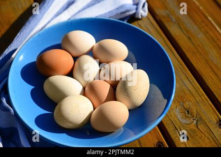 Plate of assorted eggs and napkin on wooden table Stock Photo