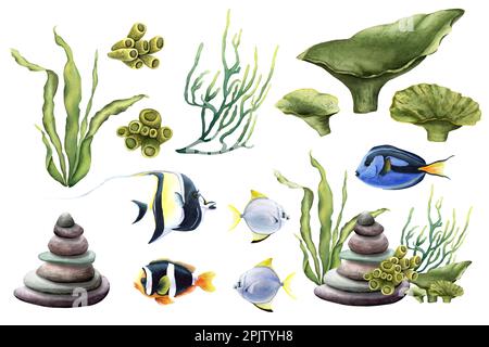 A set with composition, stack of pebbles, corals and fishes. Watercolor illustration isolated on white for clip art Stock Photo