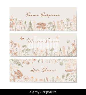 Meadow flowers background. Hand drawn field wildflowers border. Vector illustration in sketch style. Aesthetic botany horizontal design Stock Vector