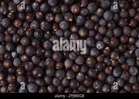 texture of dried juniper berries close-up, spice or seasoning as background Stock Photo