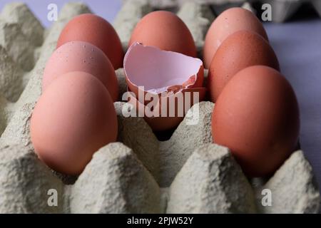 Eggs in paper box Stock Photo
