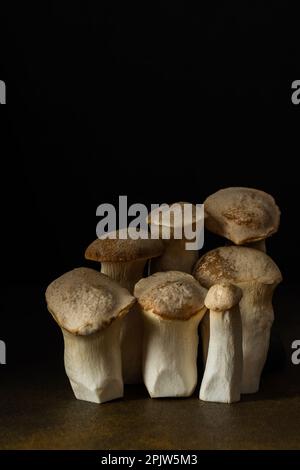 Pleurotus eryngii mushrooms close-up on a black background, tasty healthy mushrooms Stock Photo