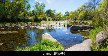 Panoramic view of river with stones and blue and green tones of the trees Stock Photo