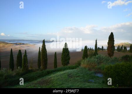 Crete senesi is the name of a vast area in southern Tuscany