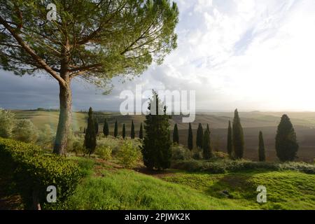 Crete senesi is the name of a vast area in southern Tuscany