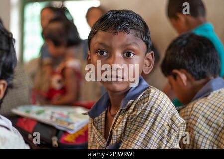 School boy looking at camera in classroom Stock Photo