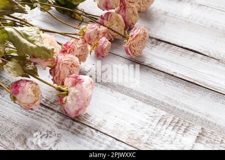 Dried Rose Petals On Light Background Top View Space For Text