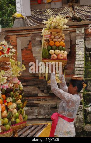 People praying and making offerings at the Pura Penataran Sasih Temple (Holy Moon Temple) in Pejeng Ubud, Bali. Stock Photo