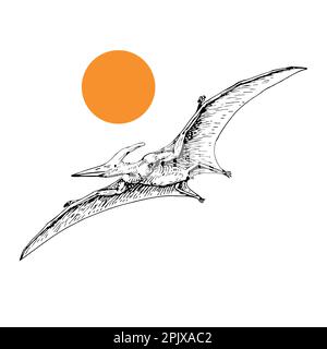 flying pterodactyl prehistoric dangerous creature of Jurassic period skeleton illustrations vector Stock Vector