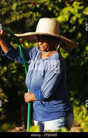 A black woman wearing a straw hat tending to her garden, watering the plants with a hose Stock Photo