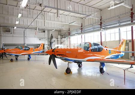 The Swedish Air Force received the first Grob G120TP training aircraft -  ВПК.name