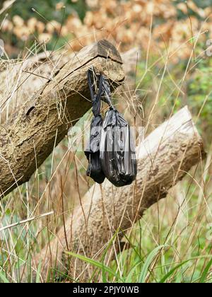 An untidy scene of discarded plastic dogs poo bags and faecal waste in an nature and wildlife setting, with no people present. Stock Photo